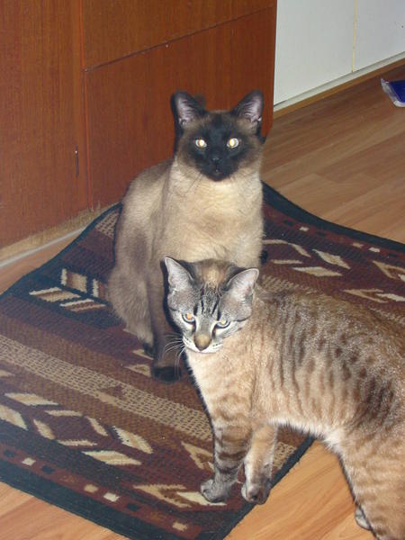 IMG 0741