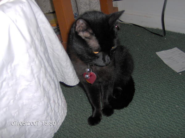 Sapphire, Beautiful Girl.