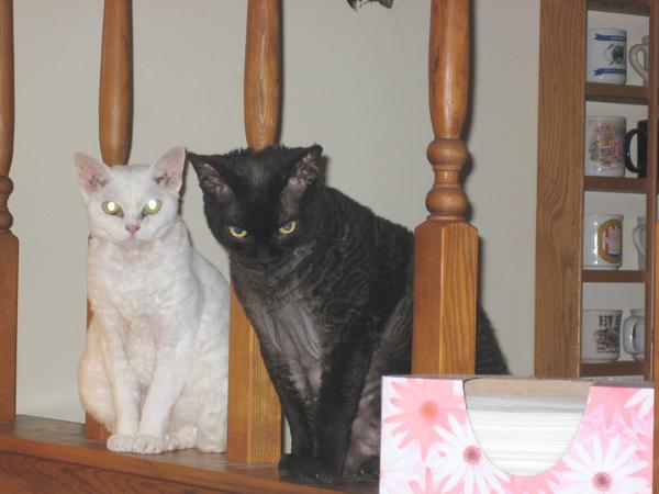 Yes mommy, We're behavin'