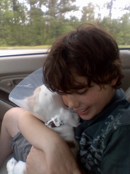 andres pup