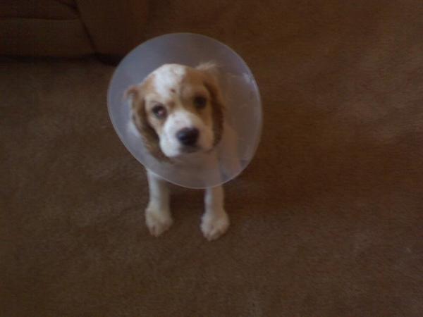 cone