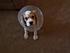 cone