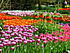 DSCN1703