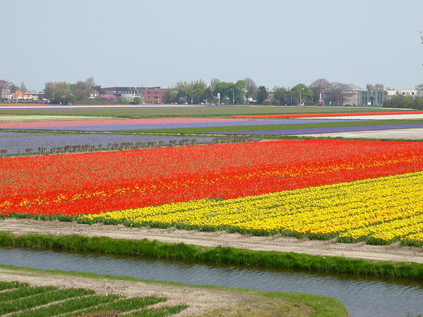 DSCN1733