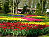 DSCN1741