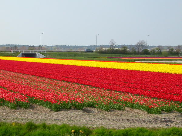DSCN1742