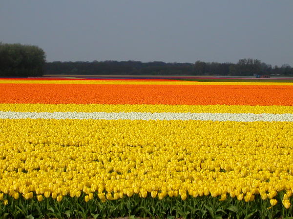 DSCN1744