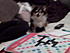 jo playing scrabble