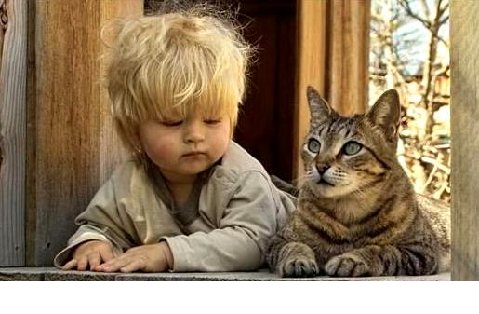 kittyandboyinwindow