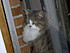 Janni...our girl. She is a Maine Coon Mix, has the personalitya nd some markings, but too small to be pedigree.  We rescued her from a shelter in...