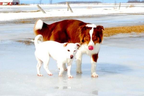 Zoey & Meshah