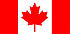 CANflagBIG