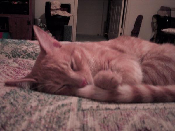So innocent while sleepin