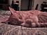 So innocent while sleepin