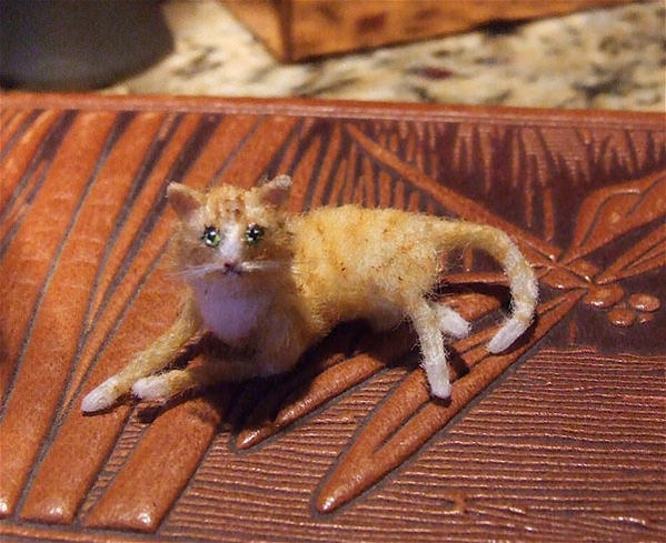 Mini Andy