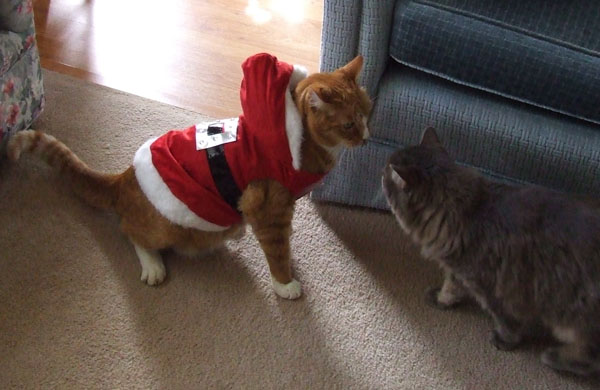 Santa Andy