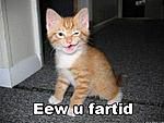 fartid