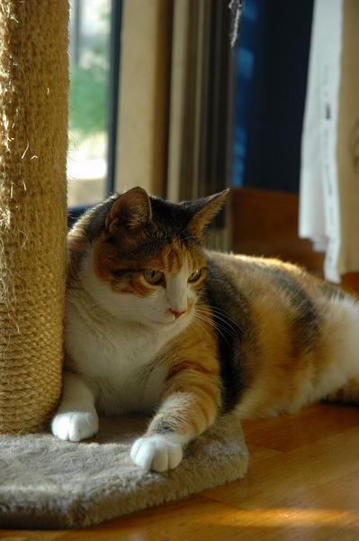 DSC 0031