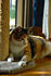 DSC 0031