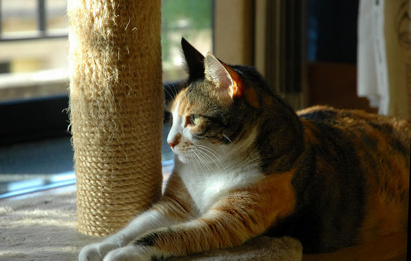 DSC 0035