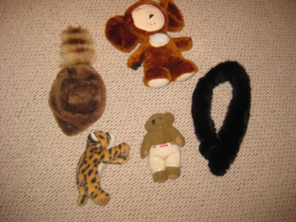 Stolen cattoys