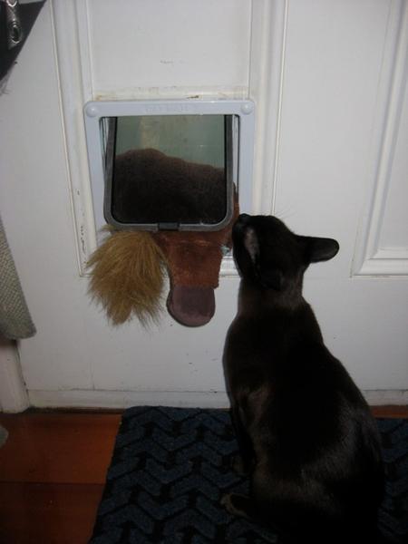 loot in door