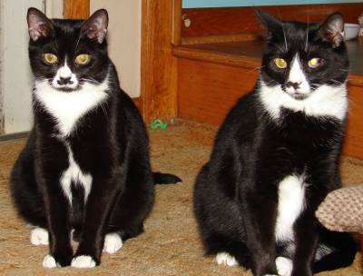 Sisters Kit and Molly
