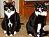 Sisters Kit and Molly