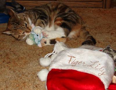 Tiger Lily LOVED Christmas, her first one with us, maybe her first real Christmas ever.