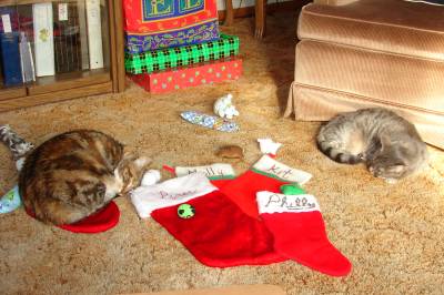 Tiger Lily and her daughter Piper all tuckered out from Christmas excitement