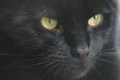 Philly's gorgeous face