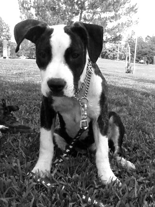 Coaco at 4 months