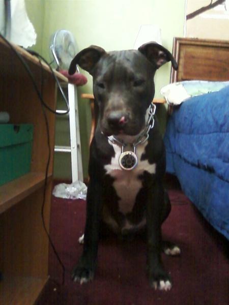 My boy getting big :(