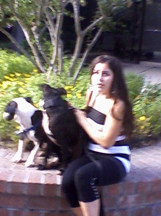 Us lol. Bad picture