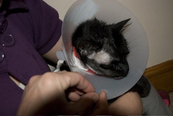 surgery3