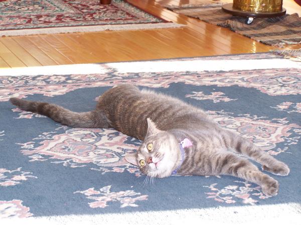 STRETCH!!! Ahhh....