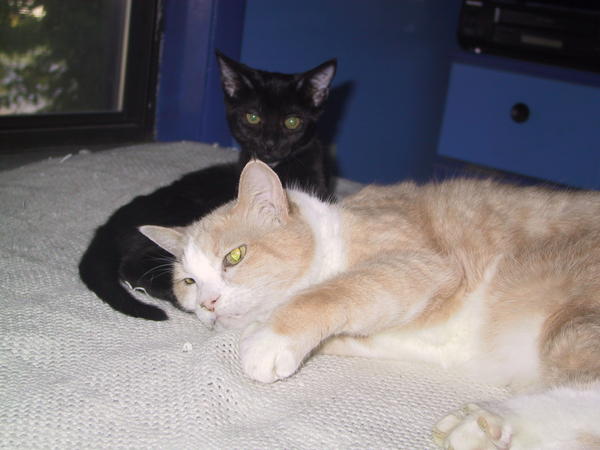 Miette & C.B.