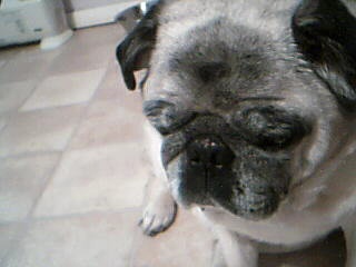 my sweet noah