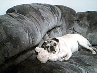 moms darla girl.