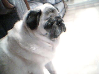 handsome noah babe.