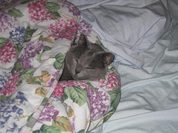 This bed is MINE!