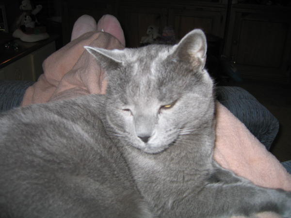 Ilike to sit on mommies lap