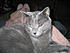 Ilike to sit on mommies lap