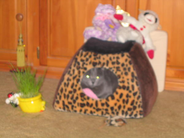 My little girl in her hideout.