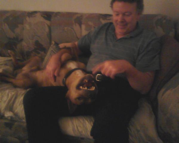 boog n len... "boog", short for "booger" (what we call Guerrero when he's being either silly or naughty ~ or both) being silly as usual & getting a belly rub from his 2nd favorite person