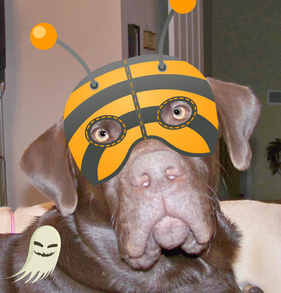 Leo during Halloween 09