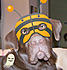 Leo during Halloween 09