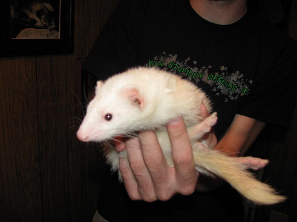 Kiki DOB: 2005