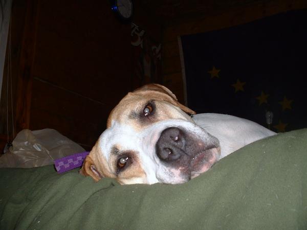 MY BABY GIRL STORMY