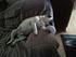 Rocko sleeping! (is he dead???)